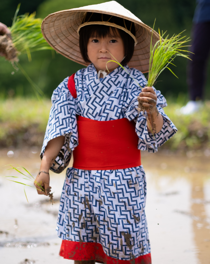 親子で棚田の田植えを体験
